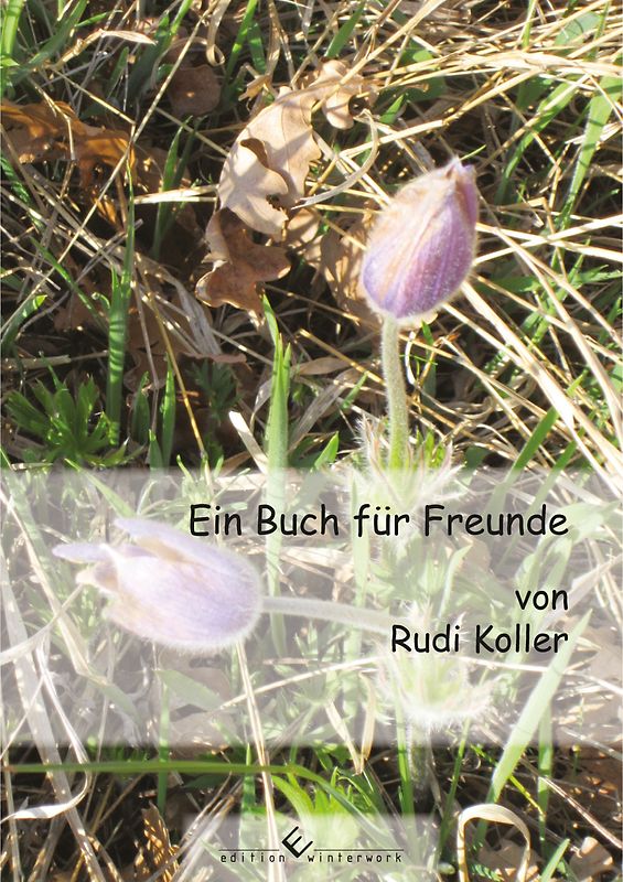 Ein Buch für Freunde