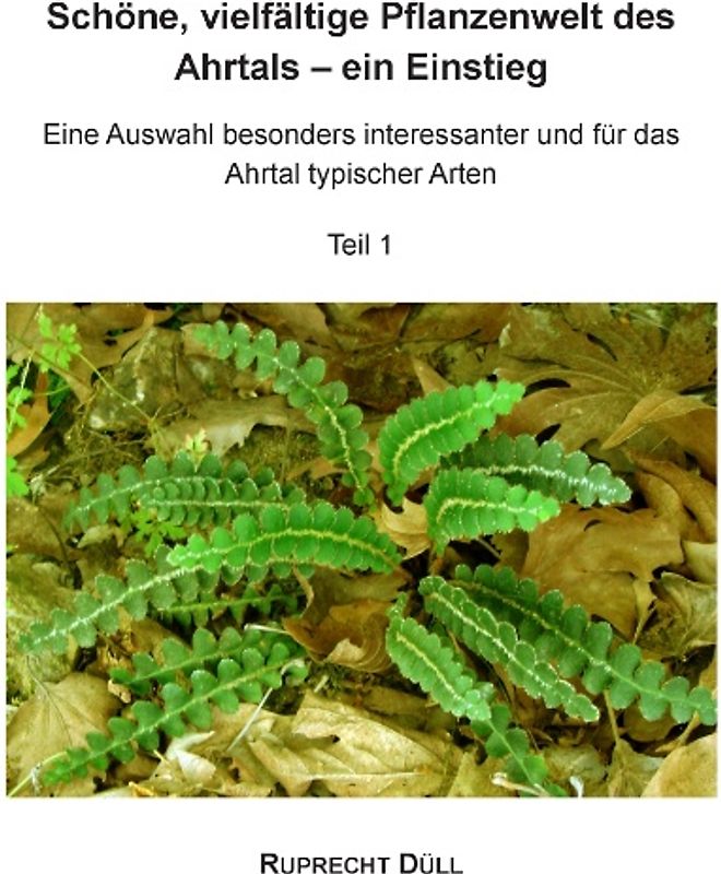 Schöne, vielfältige Pflanzenwelt des Ahrtals - ein Einstieg