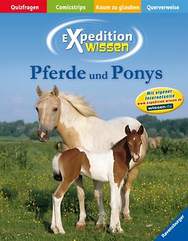 Pferde und Ponys