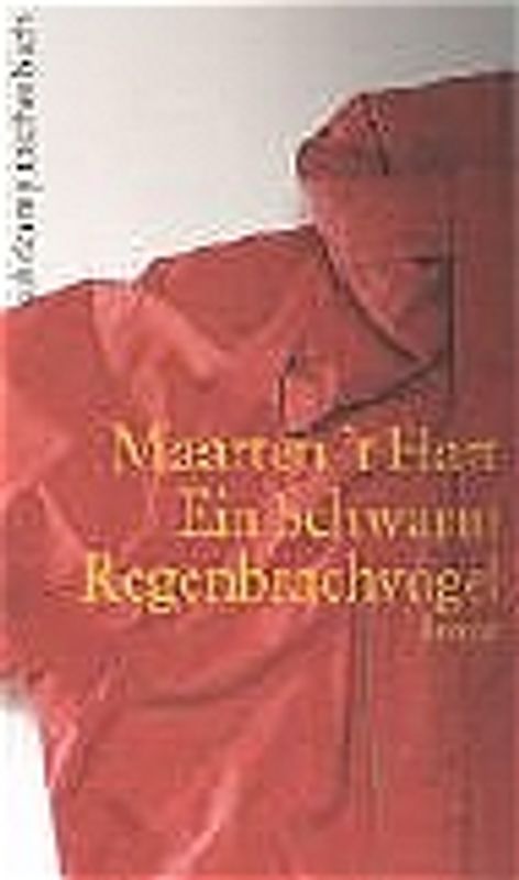 Ein Schwarm Regenbrachvögel