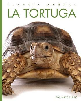 La Tortuga