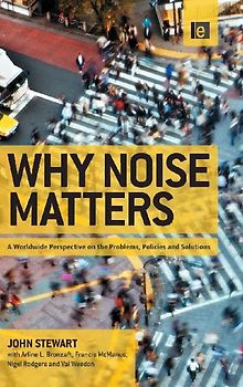 Why Noise Matters