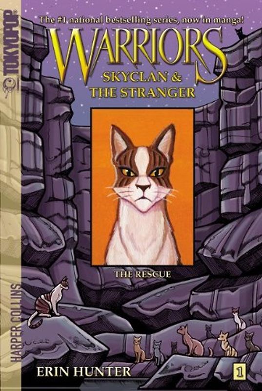 Warriors: SkyClan and the Stranger #1: The Rescue - Erin Hunter