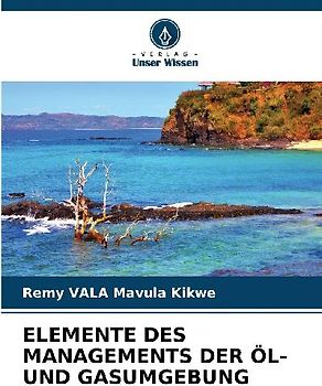 ELEMENTE DES MANAGEMENTS DER ÖL- UND GASUMGEBUNG