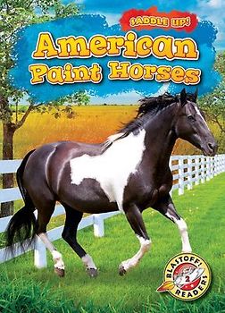 American Paint Horses