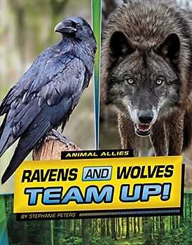 Ravens and Wolves Team Up!