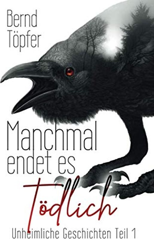 Manchmal endet es tödlich: Unheimliche Geschichten Teil 1