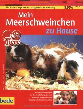 Mein Meerschweinchen zu Hause
