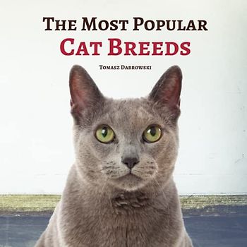 The Most Popular Cat Breeds