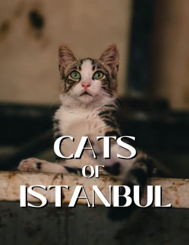 Cats of Istanbul: Coffee Table Picture Book