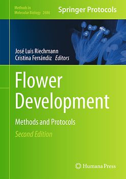 Flower Development
