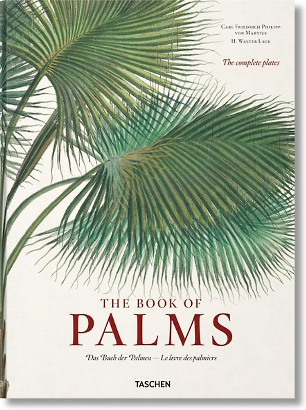 Martius. The Book of Palms