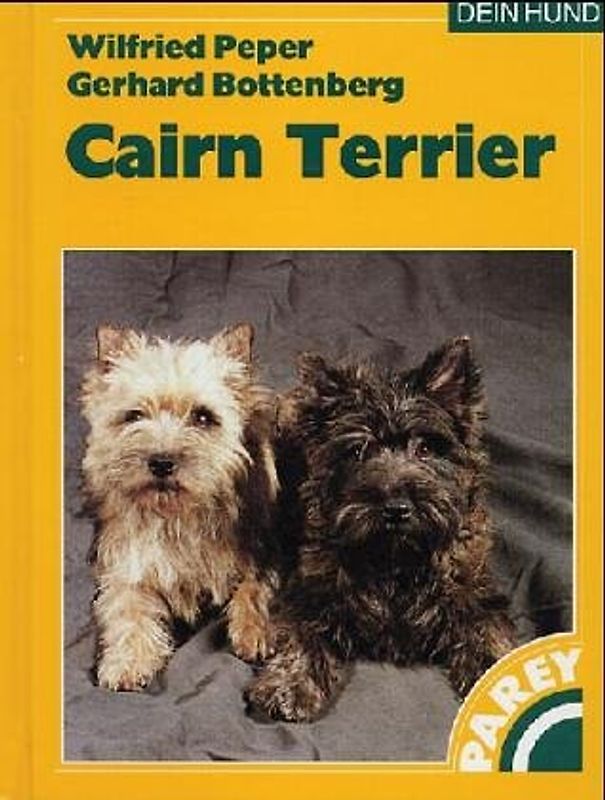 Cairn Terrier