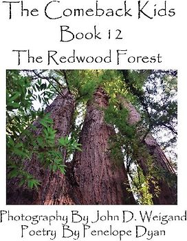 The Comeback Kids, Book 12, the Redwood Forest