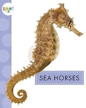 Sea Horses