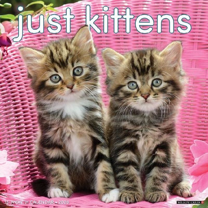 Kittens 2026 12 X 12 Wall Calendar