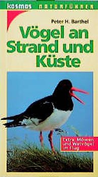Vögel an Strand und Küste. Extra: Möwen und Wattvögel im Flug
