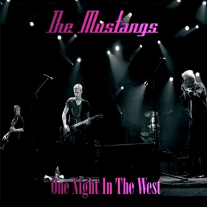 Mustangs,The - One Night In The West