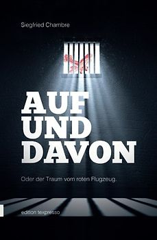 Auf und davon oder der Traum vom roten Flugzeug