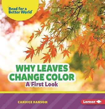 Why Leaves Change Color
