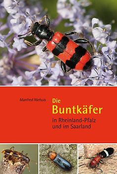 Die Buntkäfer in Rheinland-Pfalz und im Saarland