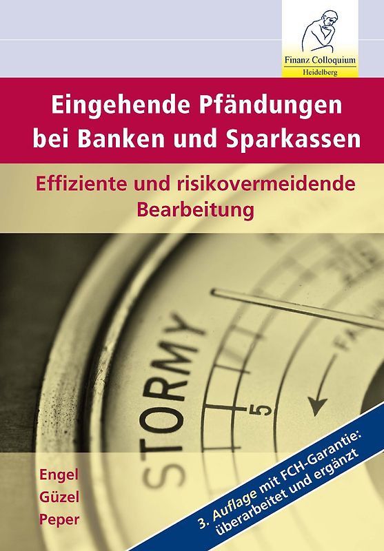 Eingehende Pfändungen bei Banken und Sparkassen, 3. Auflage