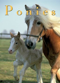 Ponys