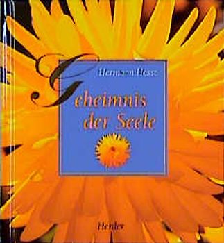 Geheimnis der Seele