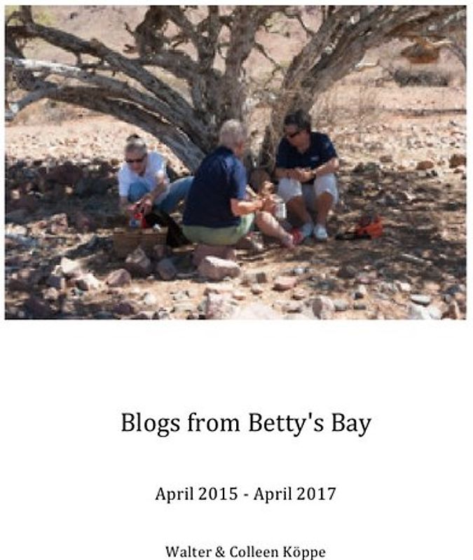 Blogs from Betty's Bay