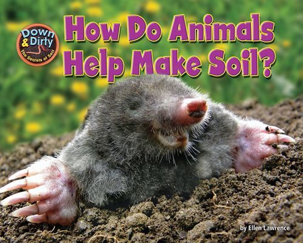 How Do Animals Help Make Soil?