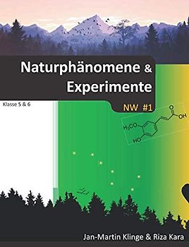 Naturphänomene & Experimente: Naturwissenschaft unterrichten (NW, Band 1)