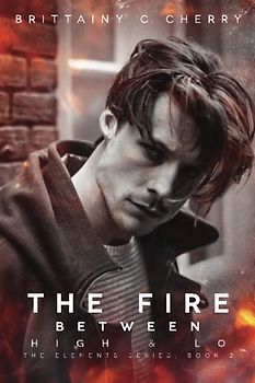 The Fire Between High & Lo (THE ELEMENTS SERIES, Band 2)
