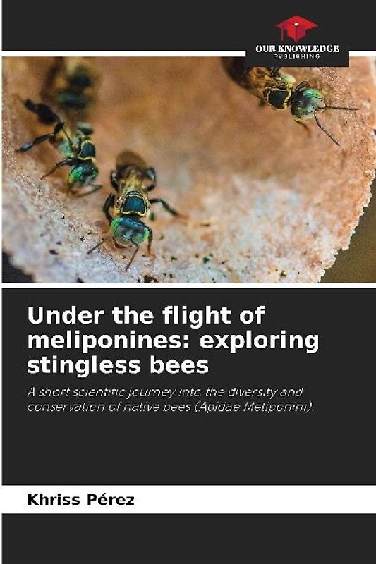 Under the flight of meliponines: exploring stingless bees