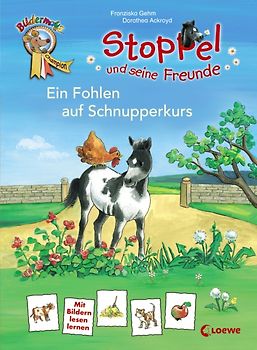 Stoppel und seine Freunde – Ein Fohlen auf Schnupperkurs