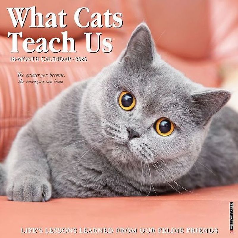 What Cats Teach Us 2026 12 X 12 Wall Calendar