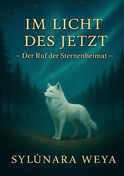Im Licht des Jetzt - Der Ruf der Sternenheimat
