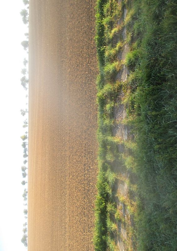 Hinternugelnapfingen