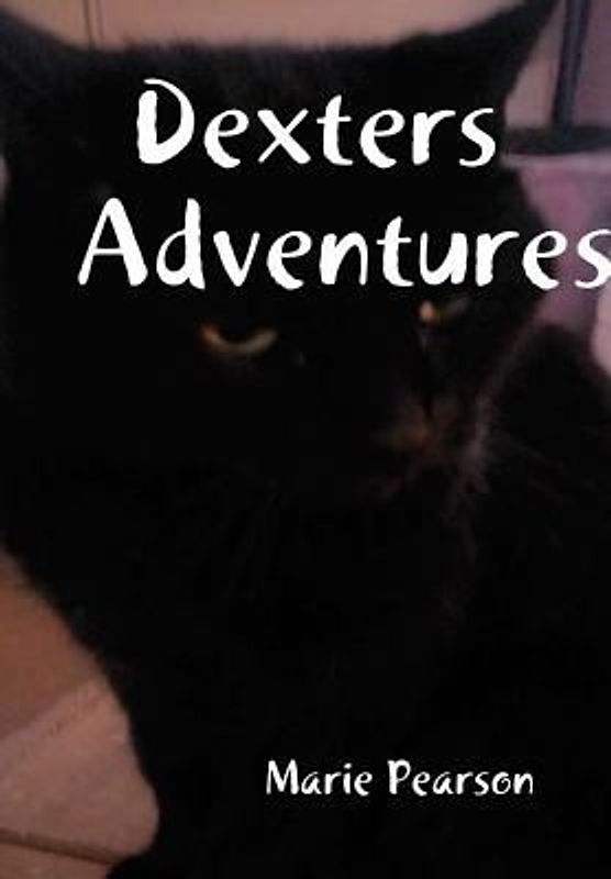 Dexters Adventures