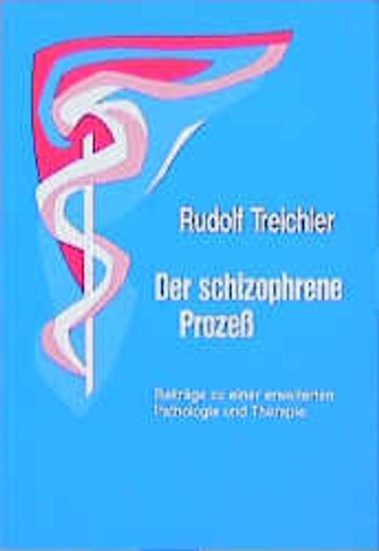 Der schizophrene Prozess