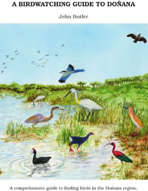 A Birdwatching Guide to Doñana