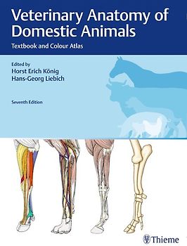 Veterinary Anatomy of Domestic Animals