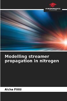 Modelling streamer propagation in nitrogen