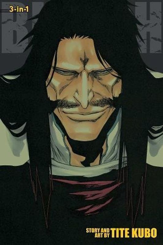 Bleach 3-in-1 Edition - Vol. 19