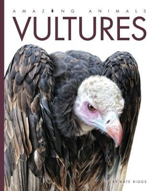 Amazing Animals Vultures