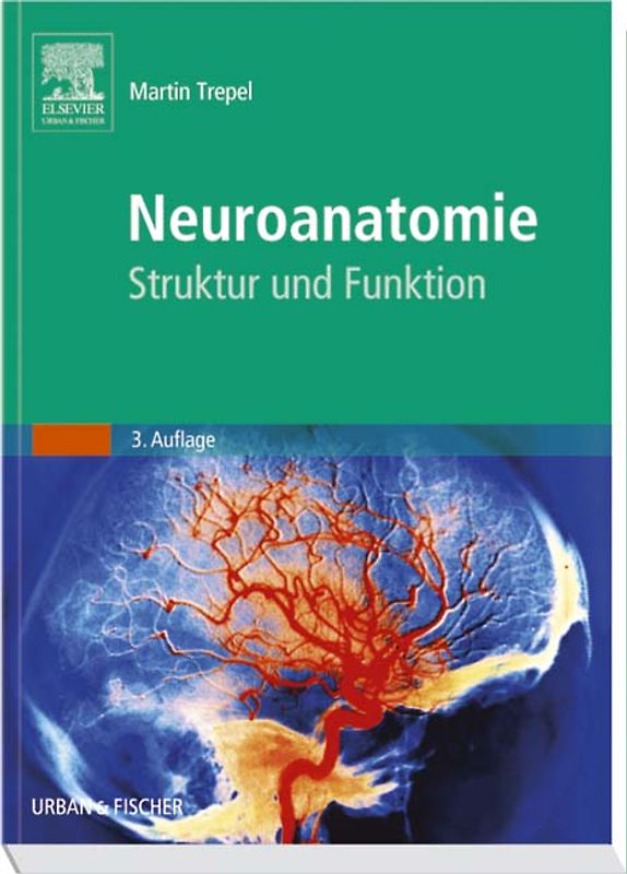 Neuroanatomie