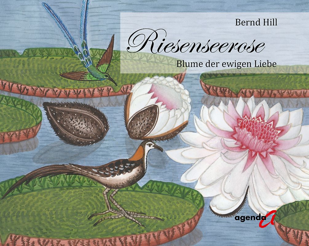 Riesenseerose