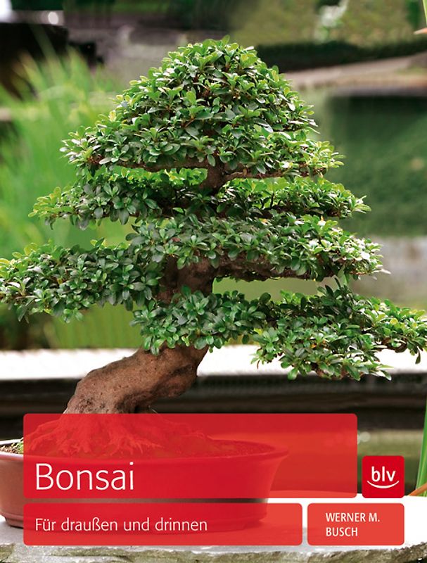 Bonsai