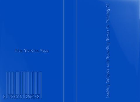 Leaking Subjects and Bounding Boxes: On Training AI