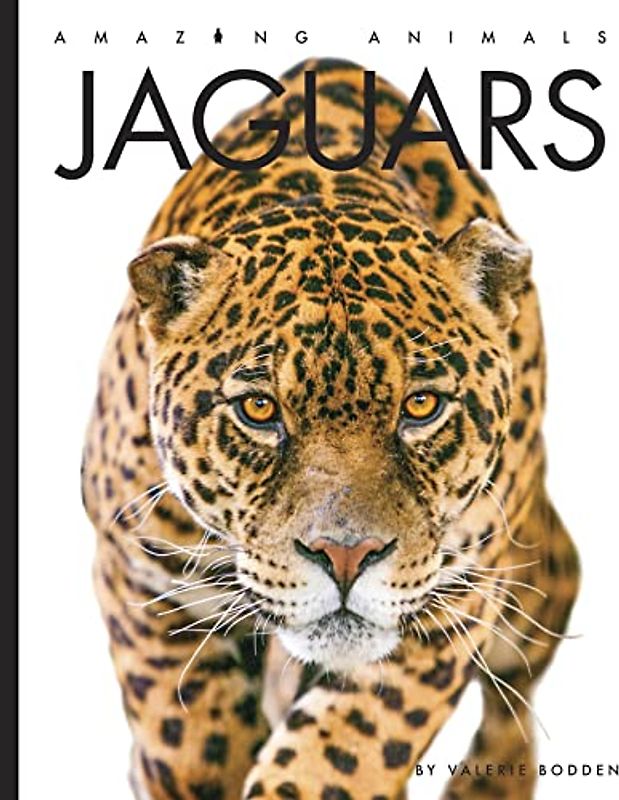 Jaguars