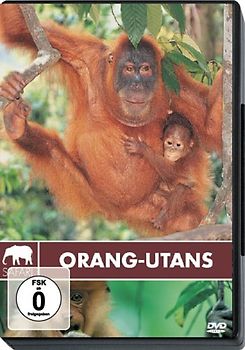 Safari: Orang Utans DVD